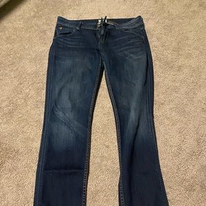 Hudson Collin Skinny Jean, Size 28